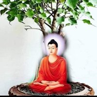 बहुजन की आवाज :- बहुजन हिताय बहुजन सुखाय (@aartisa40487603) 's Twitter Profile Photo बहुजन की आवाज :- बहुजन हिताय बहुजन सुखाय (@aartisa40487603) 's Twitter Profile Photo