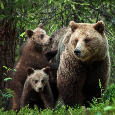 AlexisE36897281's profile picture. 