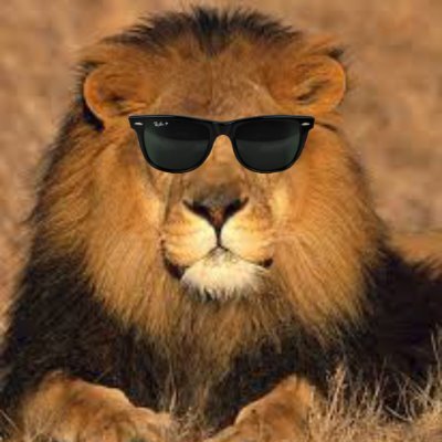 FoxSSS90's profile picture. Libertad ! Libertad ! Libertad !