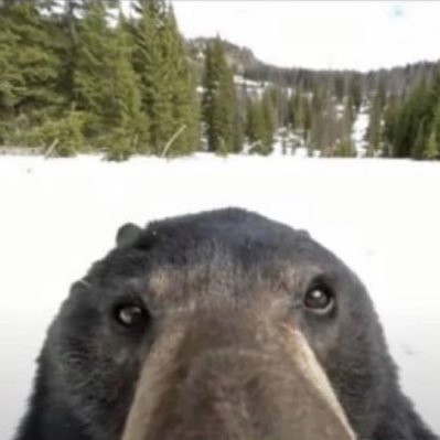 EllamsGarrett's profile picture. 