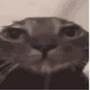 Lloyd Walker - @LloydWalke7967 - Twitter