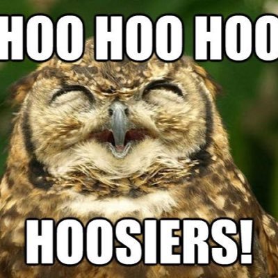 Science nerd | #cubs | #iubb | #vols | all thoughts my own