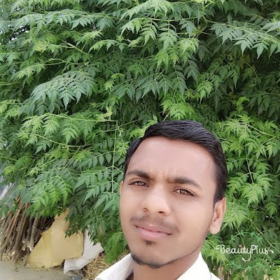 Mathmatics53363's profile picture. 