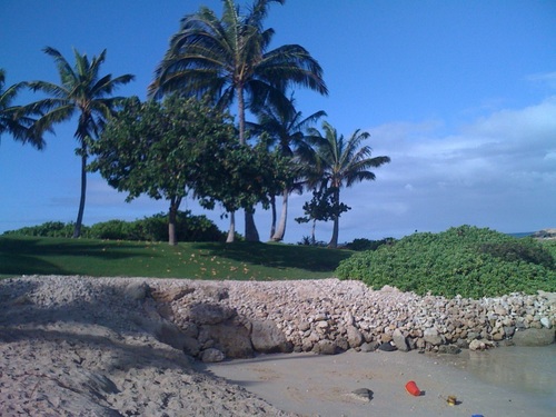 gcklym's profile picture. Klym Nation!