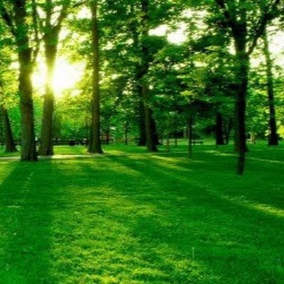 IvnFlores288613's profile picture. 