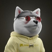 NFT dashout (@dashout_nft) 's Twitter Profile