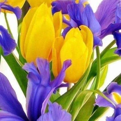 NamwsTay52186's profile picture. 