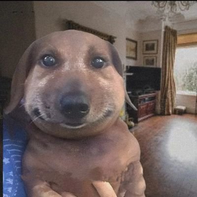 achinta_23's profile picture. #strange
