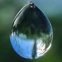 Bitcoin peer-to-peer (@rloveution_btc) 's Twitter Profile Photo