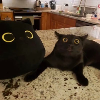 vLS236's profile picture. iiii/m 
特别喜欢当小孩