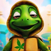 Stoner Turtle(@Solrac003) 's Twitter Profile Photo