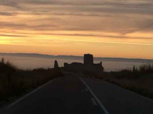 trastomg's profile picture. 