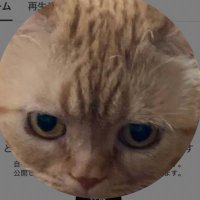 山 (@ajwmps) 's Twitter Profile