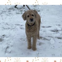 Tabata 66 (@tabatalovesbl) 's Twitter Profile Photo