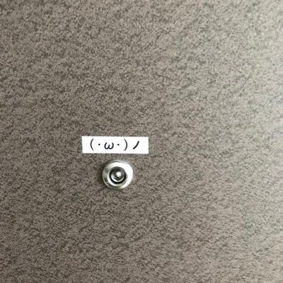 北海道在住/一条工務店さんのicube IIIで建築//趣味多数/愛妻家/