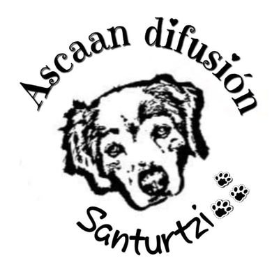 Ascaan difusión-Santurtzi difundirá los casos de perros que estén perdidos o busquen adopción. Insta: @ascaandif. FB: Ascaan difusión-Santurtzi.
☎️600805664