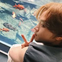 cy (@sungiovr) 's Twitter Profile
