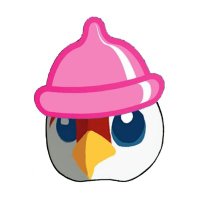 BIBI 🐦币运套 (@biyuntaobyt) 's Twitter Profile
