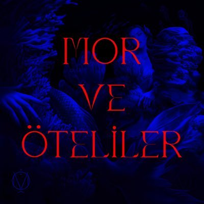 morveoteliler Profile Picture