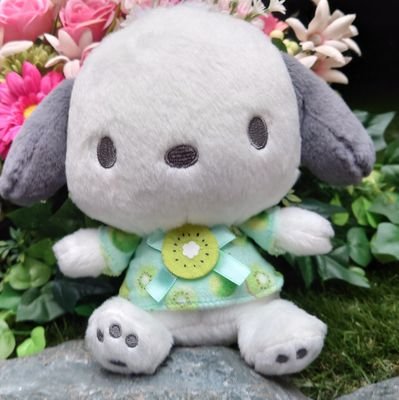 さとう わんたんさんのプロフィール画像