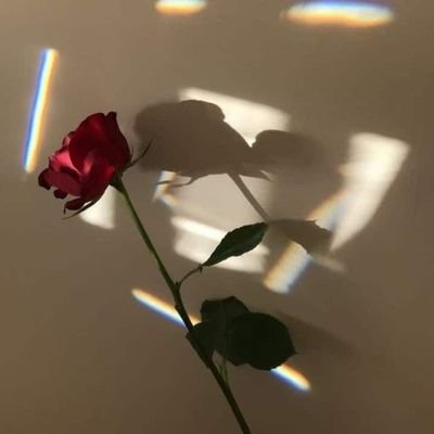 yu1an9_19's profile picture. 계정이 터져서 새로 파왔어요... 제발 팔로우를 받아주세요 저의 존잘님들... 재인증 쌉가능... 구독하는욕망의항아리 | 2n