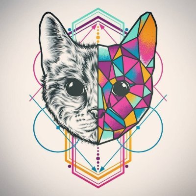 marshmellohash's profile picture. Engagement | Compliance 
ENTP...
If that makes any difference...