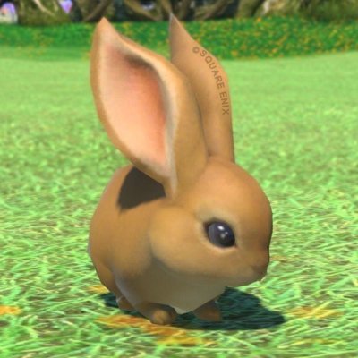 v2claude's profile picture. FF14主体の一言日記的なアカウントです。楽しい、嬉しい、面白い等、差し障りのない事をスクショに乗せてお送りいたします_(:3」z)_