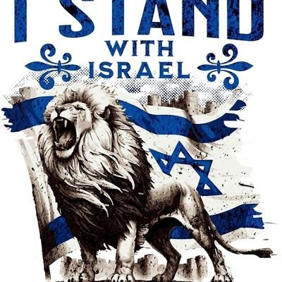 I ❤️🇮🇱 and 🇺🇦
I stand with Israel 🇮🇱✡️💙🤍 and Ukraine 🔱🇺🇦. Am Yisrael Chai 🇮🇱🦁
 I hate Terrorism and Anti-Semitism.