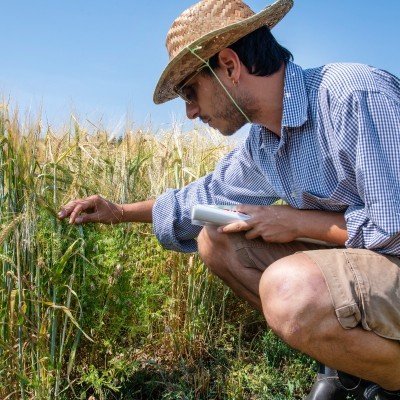 Doctoral student at @Agroscope | 
@ETH_SAE_group| 
Working on niche crops and crop diversification through mixed intercropping.
Proud leftist, hungry curious