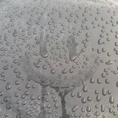 Pan_paN_K2's profile picture. 