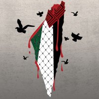 أمل دنقل (@amldonqol) 's Twitter Profile Photo