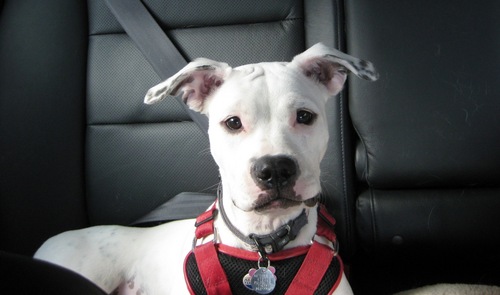 jenniferingram_'s profile picture. 