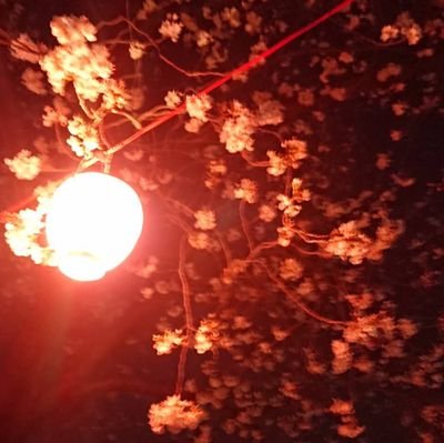 sabakatsusando's profile picture. ゲ謎👁️💧
gndmGQX🟥🟩🟧🟩1st,Z,CCA🟥⬜️
ZZ,UC,NT,0080履修済
琴線に触れたものは逆CPもRP&♥しますのでお気をつけ下さい＆無言フォローお許し下さい。
とうの昔に成人済み&腐女30年超え

とうらぶ中心アカウント→
@OdameAida