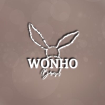 Wonho Brasil — fan account