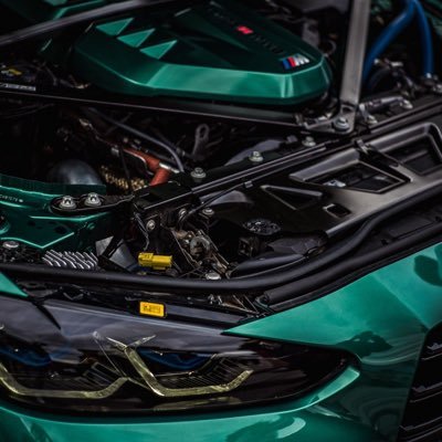 wesley_bos71659's profile picture. 