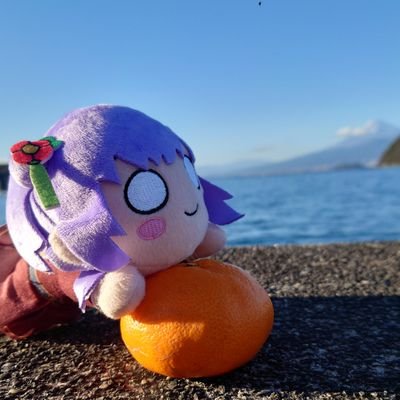 hasu_allegro's profile picture. 102期卒業公演、ありがとう。 異次元フェスから蓮に落ちたP🔰花宮初奈さんと乙宗梢さん推しのえびぷと民🪷🦐念願の217ナンバー&リアガラス102期貼りました！