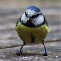 John Bryant#FBPE 💙 (@johnbryant1404) 's Twitter Profile Photo John Bryant#FBPE 💙 (@johnbryant1404) 's Twitter Profile Photo