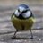 JohnBryant1404's profile image