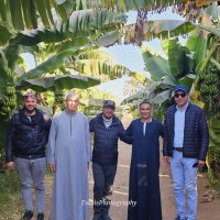 Hassan Gad (@hassang50678446) Twitter profile photo