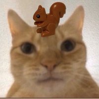 DJ Kindergeburtstag (@trashtaesh) 's Twitter Profile