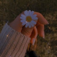 Ekpss (@ekpss195180) Twitter profile photo