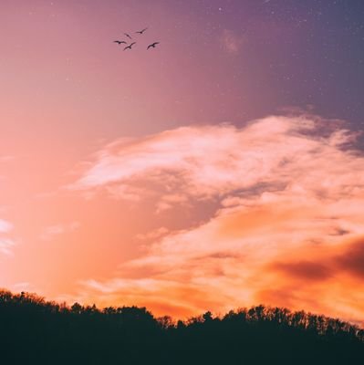 khurram_shzd's profile picture. 