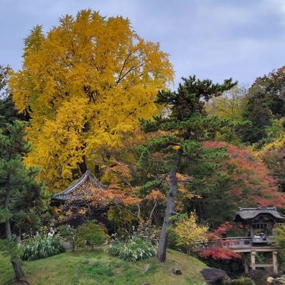 👰‍♂️個人ブログ
📍大阪、趣味:🏔️登山、🎶ジャズを聴く、📸写真を撮る、🧘‍♂️ヨガなど
共通の趣味を持っている人と会話するのが好きです。私は日本の初心者なので、日本の周辺のことに興味があります。共通のファンがいる人は私に従ってください