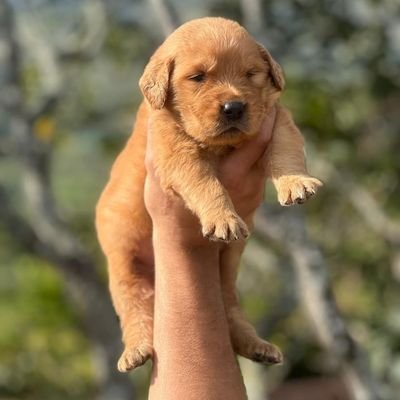 11Manu_23's profile picture. 