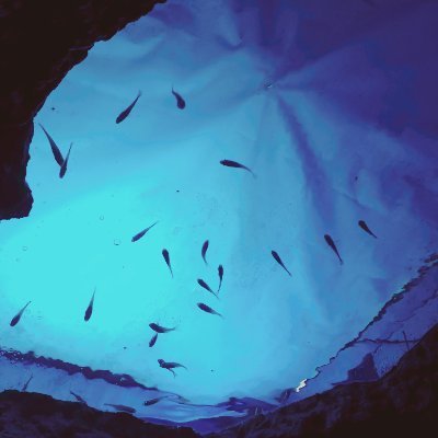 amichoco1029's profile picture. 高卒済み 20↑ 関係者B 永久鍵の夢垢です。無理な方はブロック推奨🙏