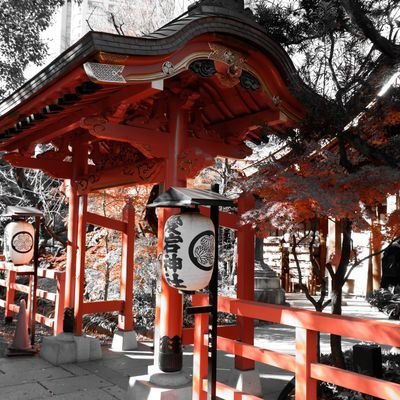 JSekihi's profile picture. おはこんハロチャオ(๑•̀ω•́๑)