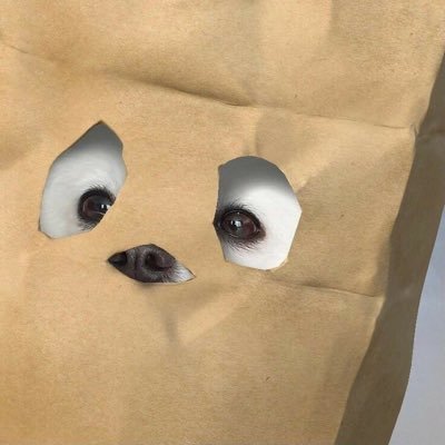 mmmmmms15's profile picture. 