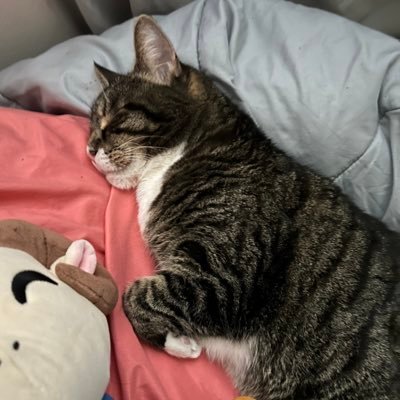 ramencupboo's profile picture. 