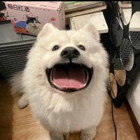 volta (@likanye89691) Twitter profile photo
