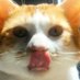 似非サ夜こ (@rj4yk3hb) Twitter profile photo 似非サ夜こ (@rj4yk3hb) Twitter profile photo